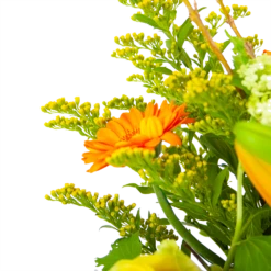 Boeket Seizoensgebonden Klein 7 Boeket Seizoensgebonden Klein -Plantenzadenmest Winkel boeket seizoensgebonden boeketten 3 2