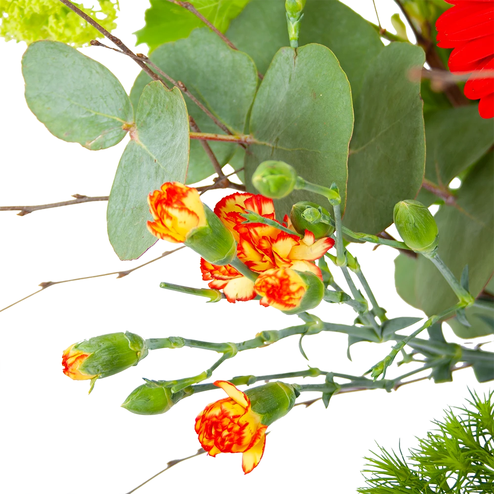 Boeket Speciale Verrassing Middel 2 Boeket Speciale Verrassing Middel - Afbeelding 2