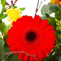 Boeket Speciale Verrassing Groot -Plantenzadenmest Winkel boeket speciale verrassing boeketten 3 2