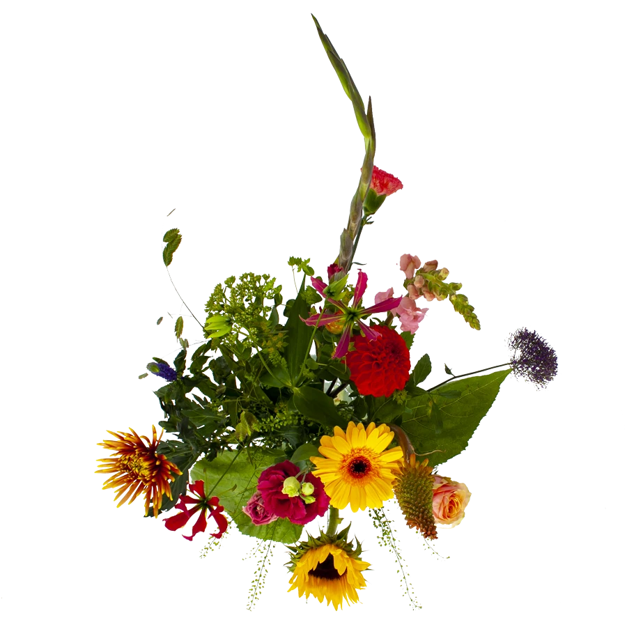 Boeket Vlinder Groot 2 Boeket Vlinder Groot - Afbeelding 2