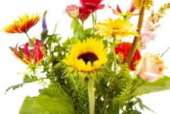 Boeket Vlinder Middel 8 Boeket Vlinder Middel -Plantenzadenmest Winkel boeket vlinder boeketten 3 3 1