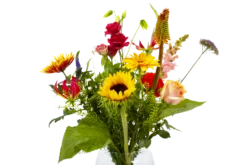 Boeket Vlinder Middel 9 Boeket Vlinder Middel -Plantenzadenmest Winkel boeket vlinder boeketten 4 3 1