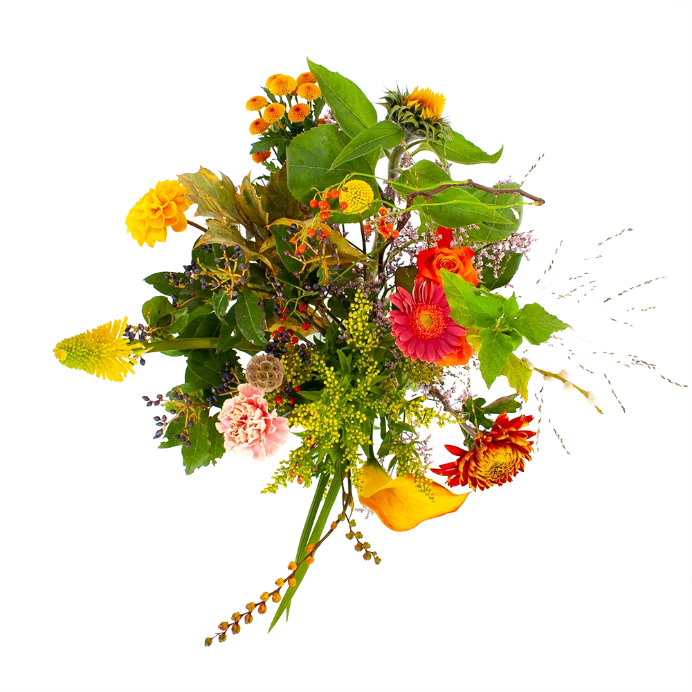Boeket Vrolijk Groot 2 Boeket Vrolijk Groot - Afbeelding 2