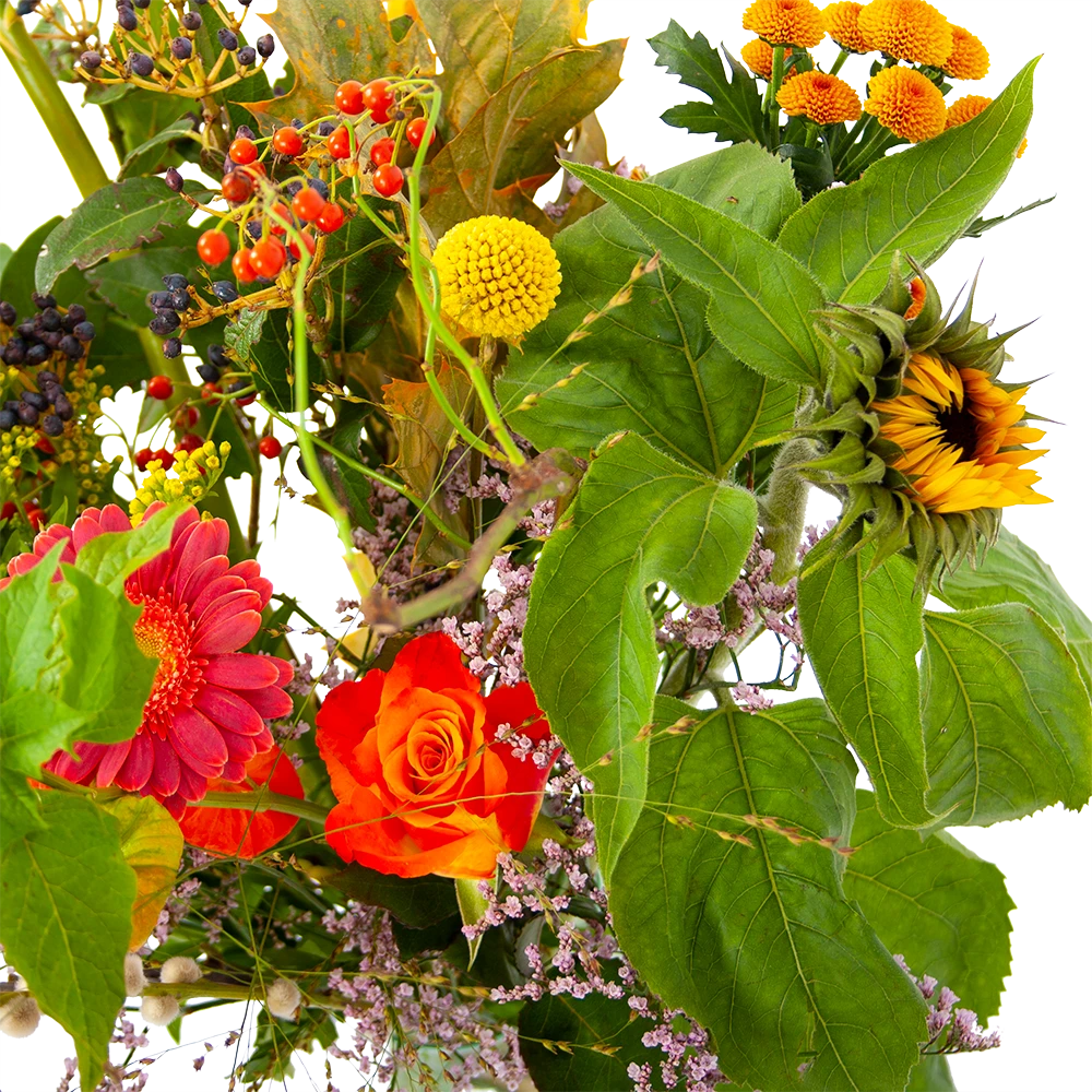 Boeket Vrolijk Groot 4 Boeket Vrolijk Groot - Afbeelding 4