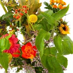 Boeket Vrolijk Klein -Plantenzadenmest Winkel boeket vrolijk klein boeketten 4