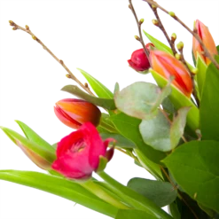 Boeket Vrolijk Roze Groot 7 Boeket Vrolijk Roze Groot -Plantenzadenmest Winkel boeket vrolijk roze boeketten 3