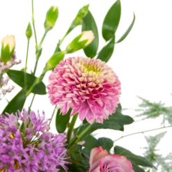 Boeket Vrolijke Verrassing Klein -Plantenzadenmest Winkel boeket vrolijke verrassing boeketten 3