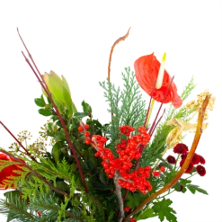 Boeket Winterpret Groot -Plantenzadenmest Winkel boeket winterpret boeketten 3 1 1