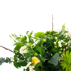 Boeket Witte Dagen Klein 7 Boeket Witte Dagen Klein -Plantenzadenmest Winkel boeket witte dagen boeketten 3 1 2