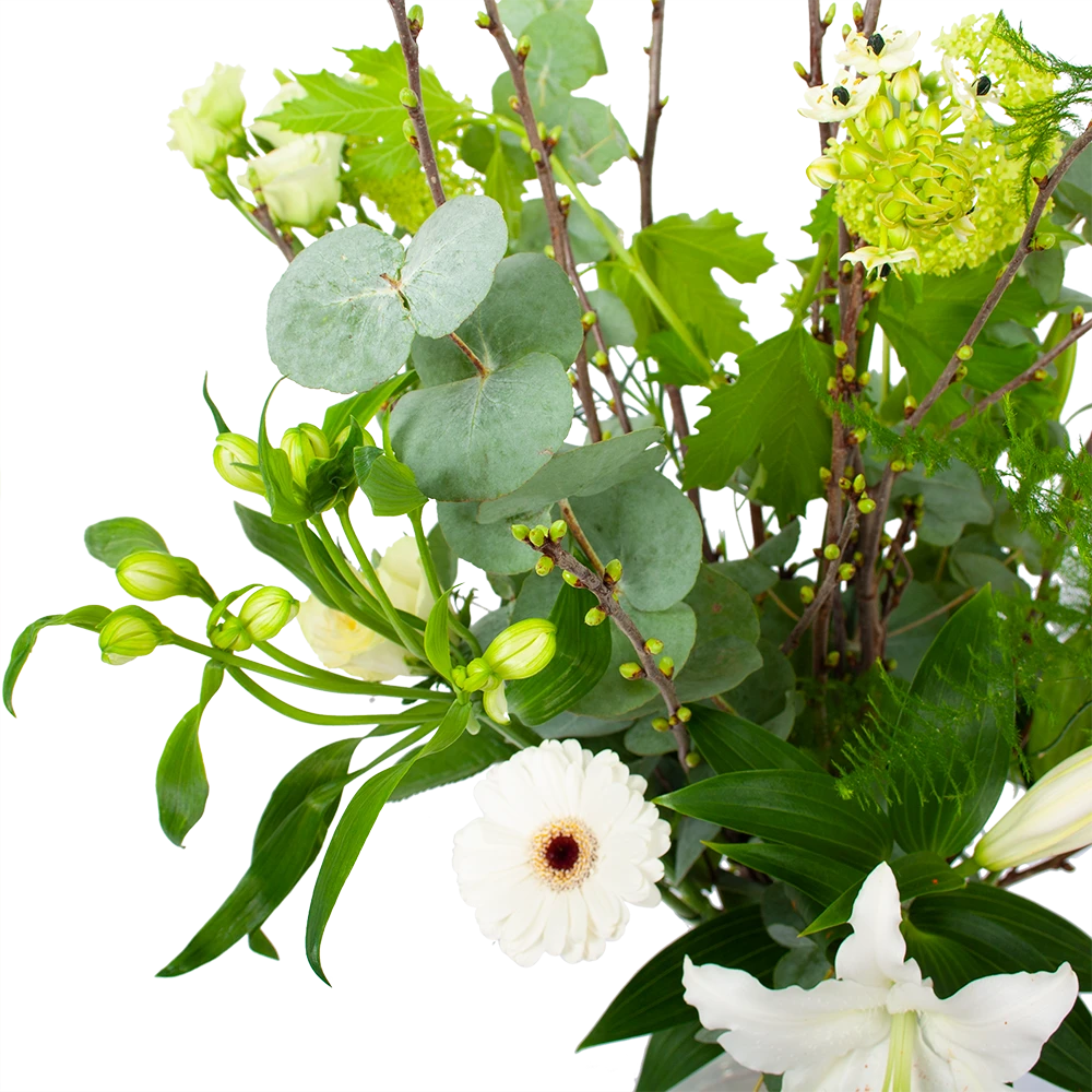 Boeket Witte Winter Groot 2 Boeket Witte Winter Groot - Afbeelding 2