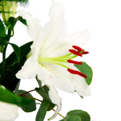 Boeket Witte Winter Middel -Plantenzadenmest Winkel boeket witte winter boeketten 4 2