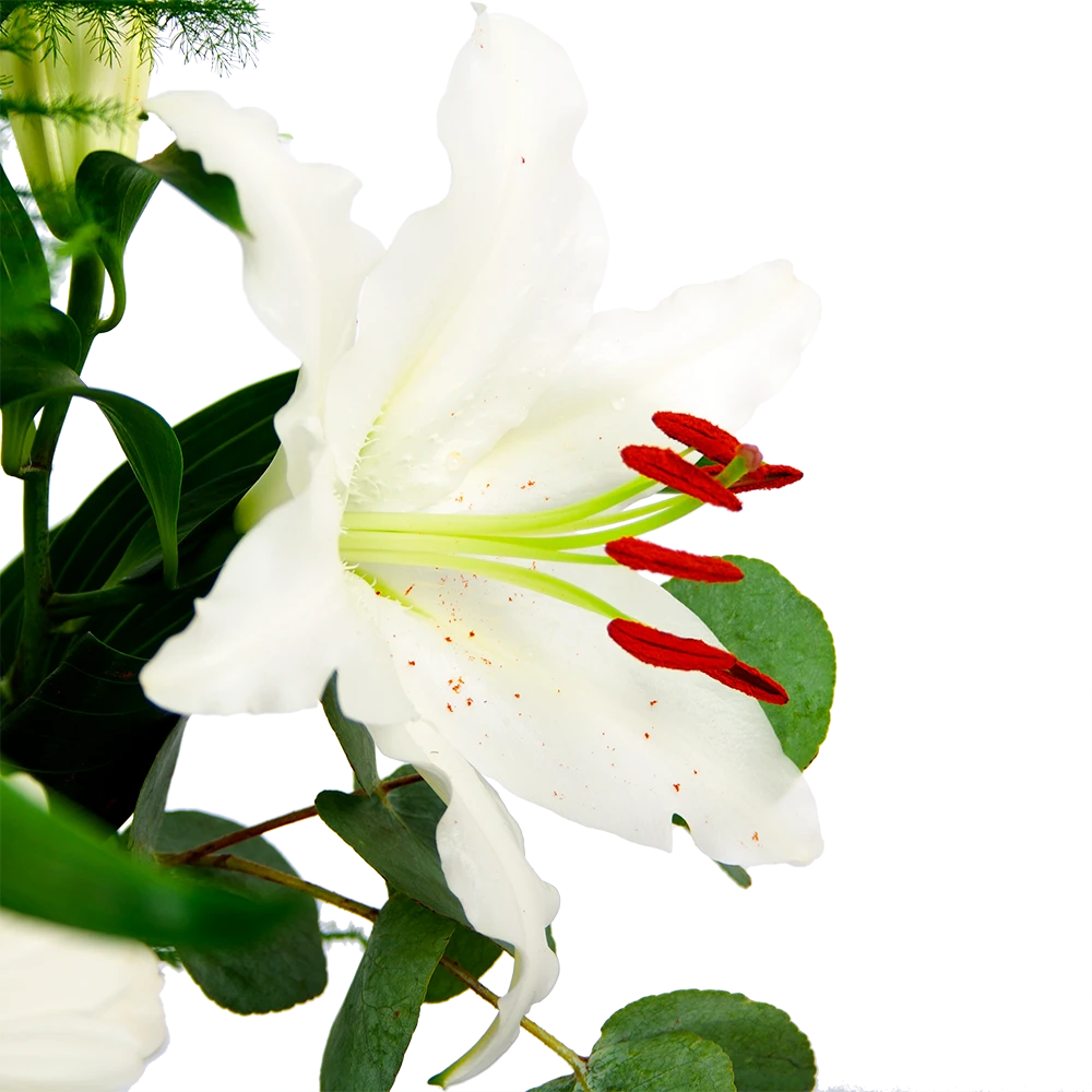 Boeket Witte Winter Klein 4 Boeket Witte Winter Klein - Afbeelding 4