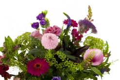 Boeket Zomerbries Klein 8 Boeket Zomerbries Klein -Plantenzadenmest Winkel boeket zomerbries boeketten 3 5 2