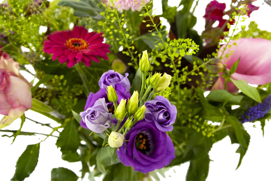 Boeket Zomerbries Klein 4 Boeket Zomerbries Klein - Afbeelding 4