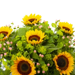 Boeket Zonnestraal Middel 8 Boeket Zonnestraal Middel -Plantenzadenmest Winkel boeket zonnestraal boeketten 3 3 2