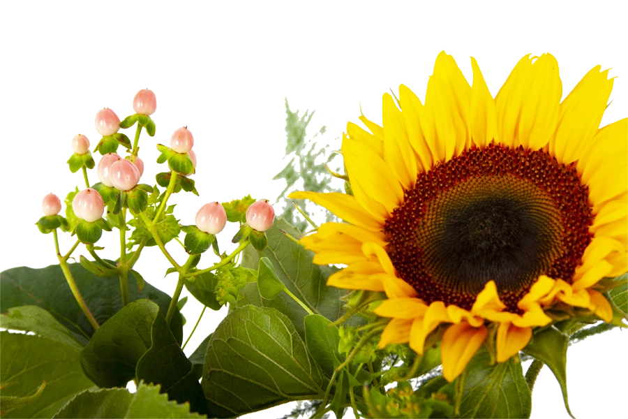 Boeket Zonnestraal Middel 4 Boeket Zonnestraal Middel - Afbeelding 4