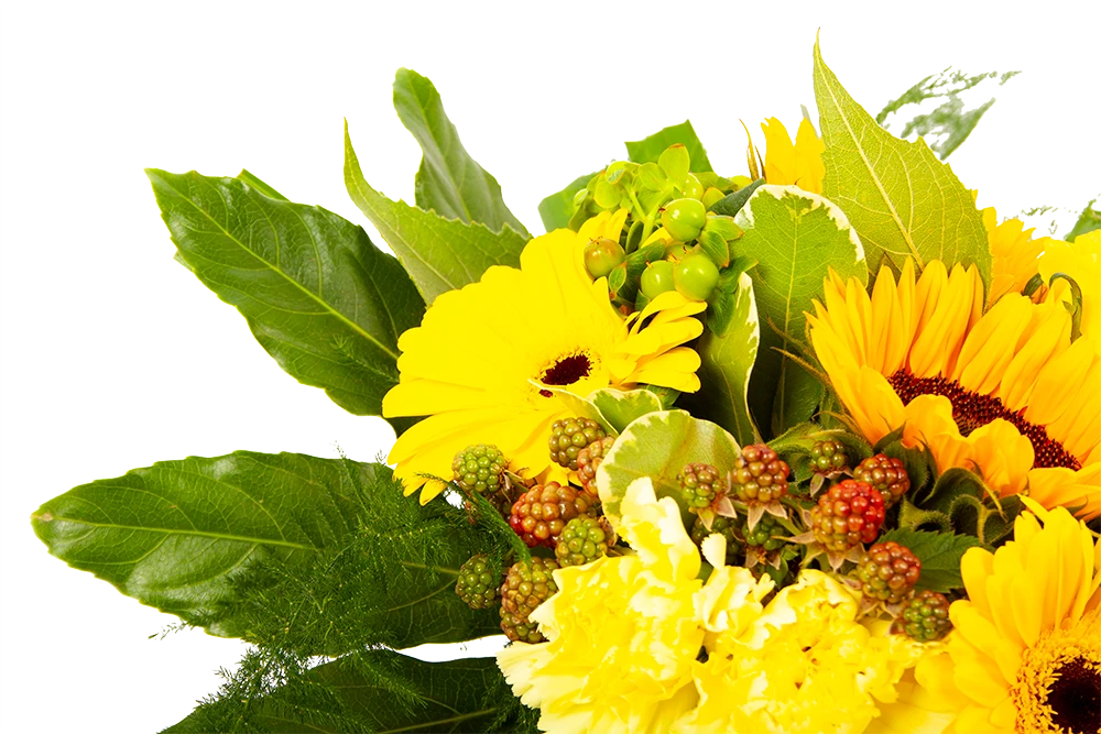 Boeket Zonnetje Middel 4 Boeket Zonnetje Middel - Afbeelding 4