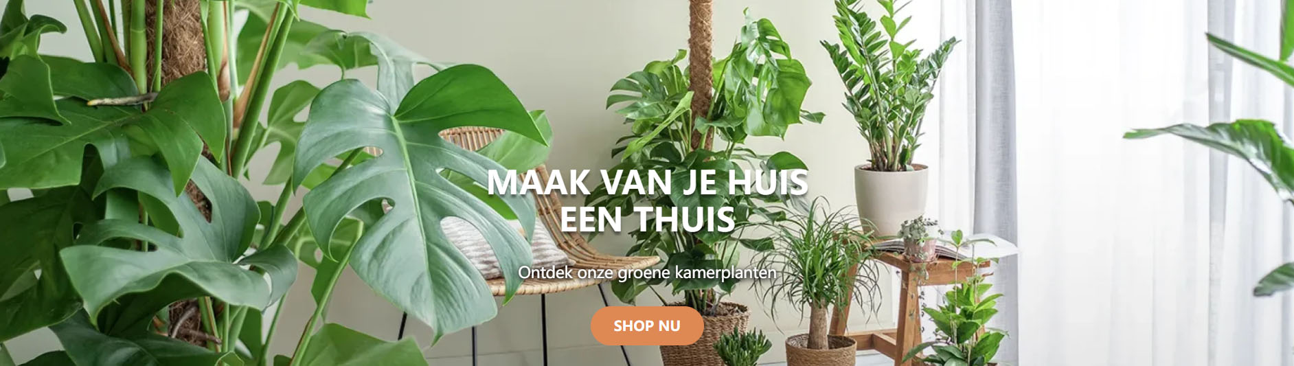 Plantenzadenmest Winkel -Plantenzadenmest Winkel gvjmgvj