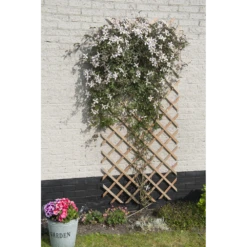 Nature - Houten Klimrek Naturel 100x200cm 5 Nature - Houten Klimrek Naturel 100x200cm -Plantenzadenmest Winkel nature houten klimrek naturel 100x200cm 3 2