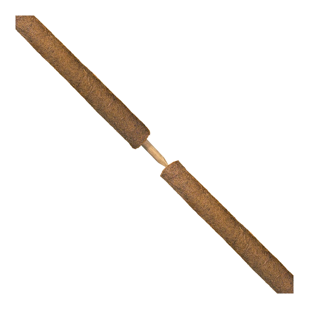 Nature - Kokosplantstok H120cm U00f860mm 2 Nature - Kokosplantstok H120cm U00f860mm - Afbeelding 2