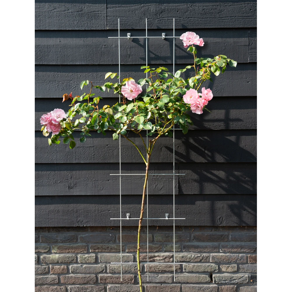 Nature - Metalen Klimrek Geplastificeerd Grijs H145x42,5cm 2 Nature - Metalen Klimrek Geplastificeerd Grijs H145x42,5cm - Afbeelding 2