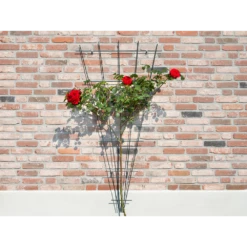 Nature - Metalen Klimrekv Geplastificeerd Groen H145x5/75cm 6 Nature - Metalen Klimrekv Geplastificeerd Groen H145x5/75cm -Plantenzadenmest Winkel nature metalen klimrekv geplastificeerd groen h145x5 75cm 3 2