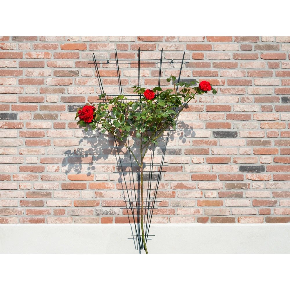 Nature - Metalen Klimrekv Geplastificeerd Groen H145x5/75cm 3 Nature - Metalen Klimrekv Geplastificeerd Groen H145x5/75cm - Afbeelding 3